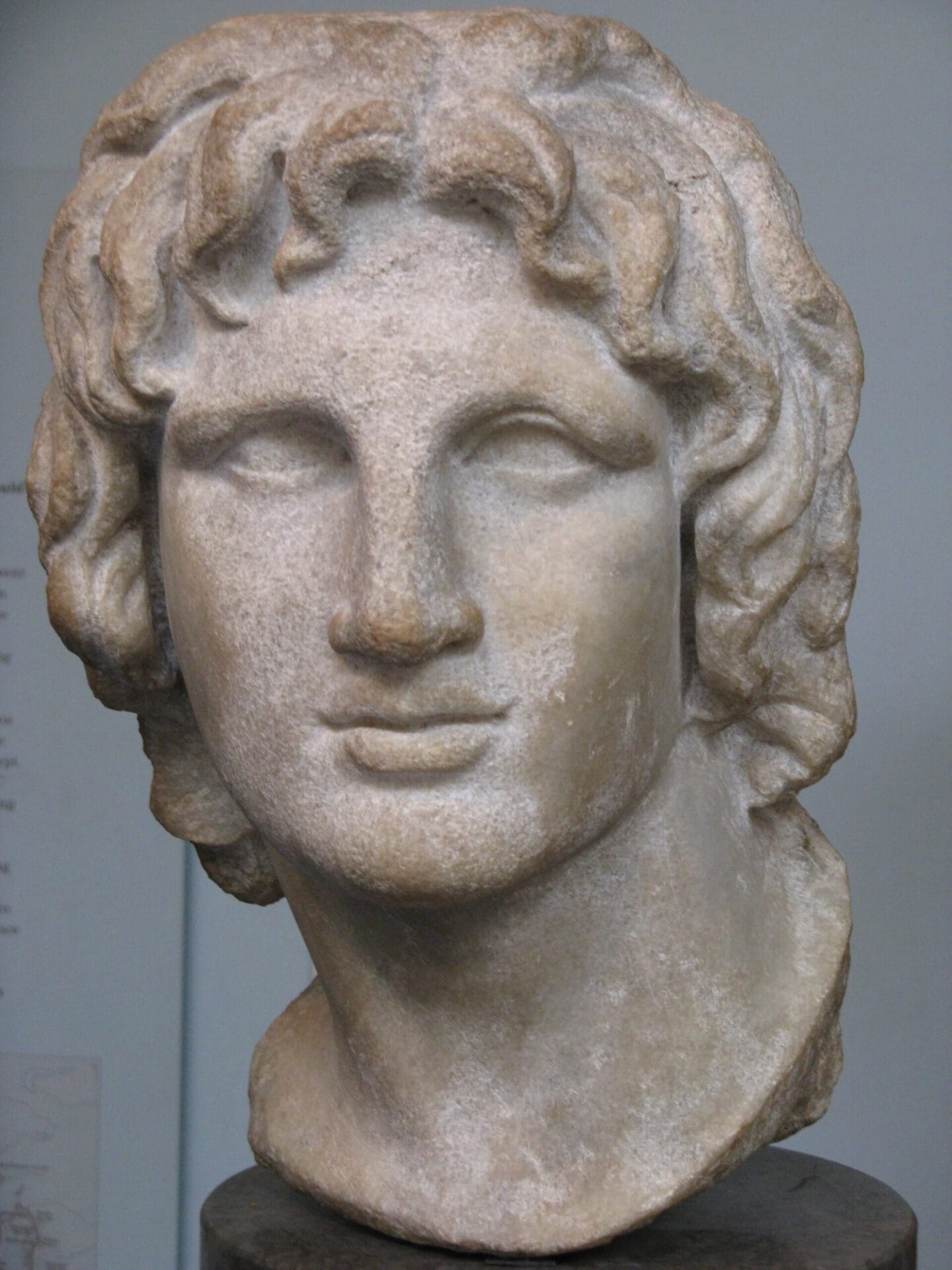 Alexander the Great Biography, Empire, Death, History And More ...